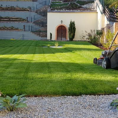 Gartenpflege